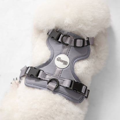 Arlo Adjustable Soft Padded No Pull Pet Harness with 3 Buckles and 3 Leash Clips