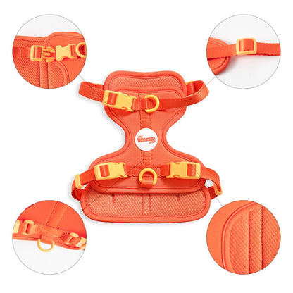 Arlo Adjustable Soft Padded No Pull Pet Harness with 3 Buckles and 3 Leash Clips