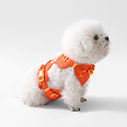 Arlo Adjustable Soft Padded No Pull Pet Harness with 3 Buckles and 3 Leash Clips