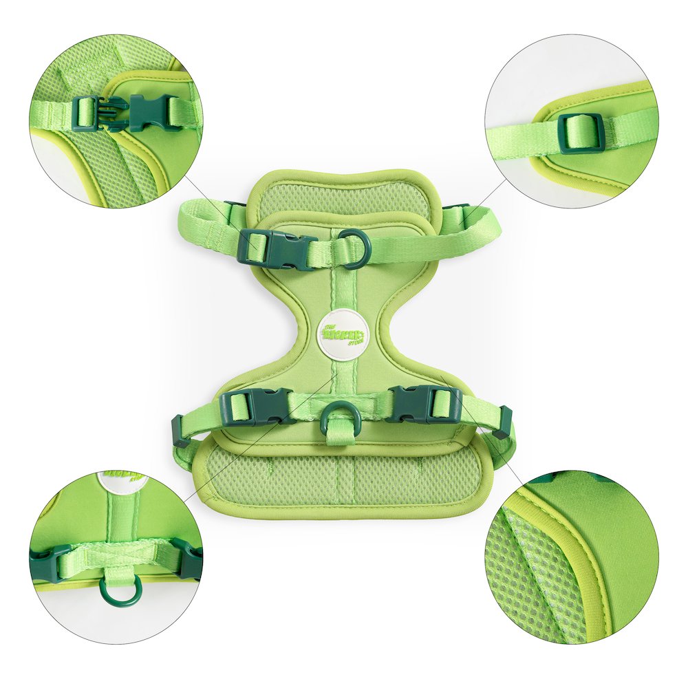 Arlo Adjustable Soft Padded No Pull Pet Harness with 3 Buckles and 3 Leash Clips