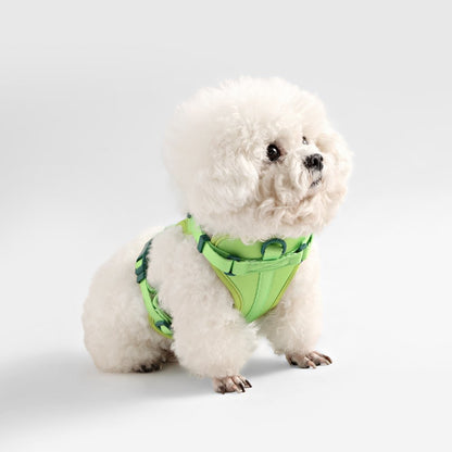 Arlo Adjustable Soft Padded No Pull Pet Harness with 3 Buckles and 3 Leash Clips