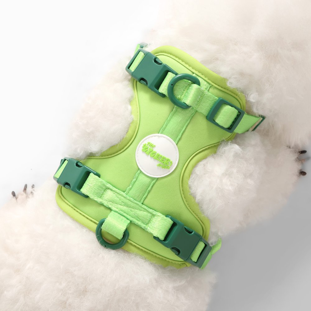 Arlo Adjustable Soft Padded No Pull Pet Harness with 3 Buckles and 3 Leash Clips