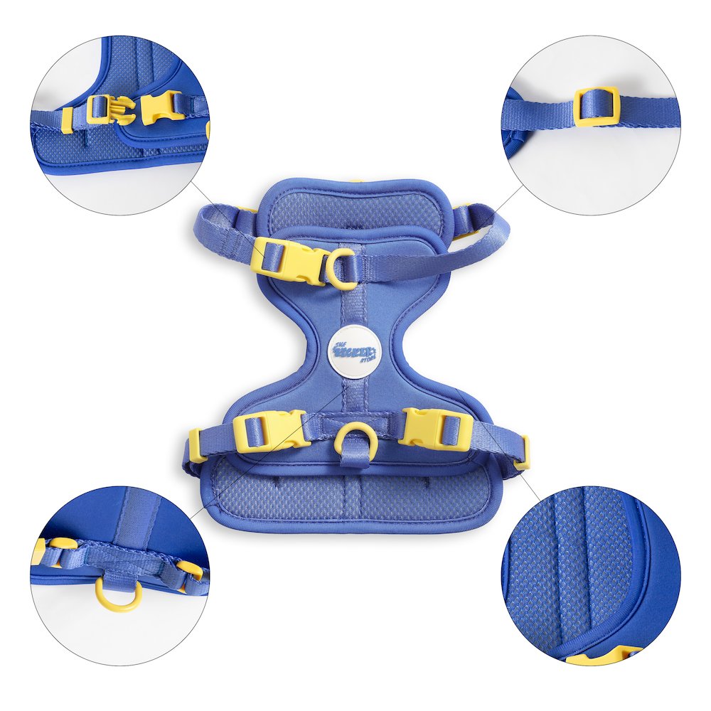 Arlo Adjustable Soft Padded No Pull Pet Harness with 3 Buckles and 3 Leash Clips