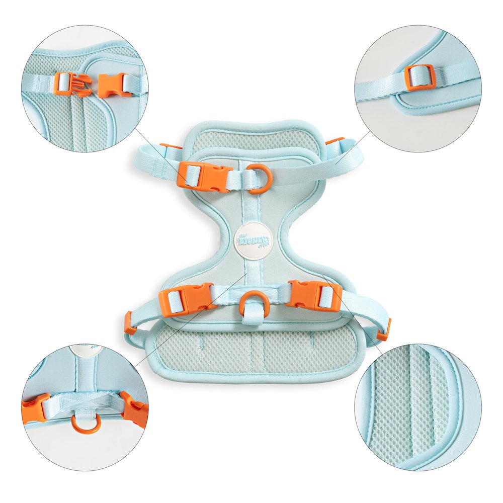 Arlo Adjustable Soft Padded No Pull Pet Harness with 3 Buckles and 3 Leash Clips