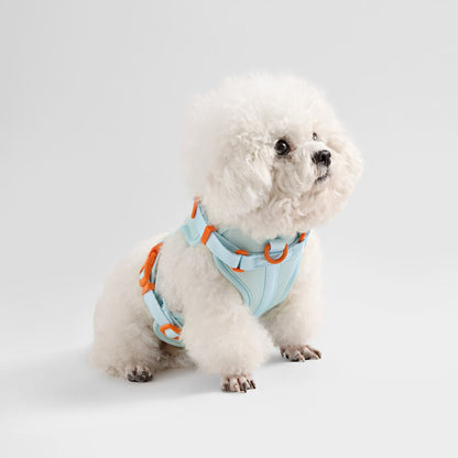 Arlo Adjustable Soft Padded No Pull Pet Harness with 3 Buckles and 3 Leash Clips
