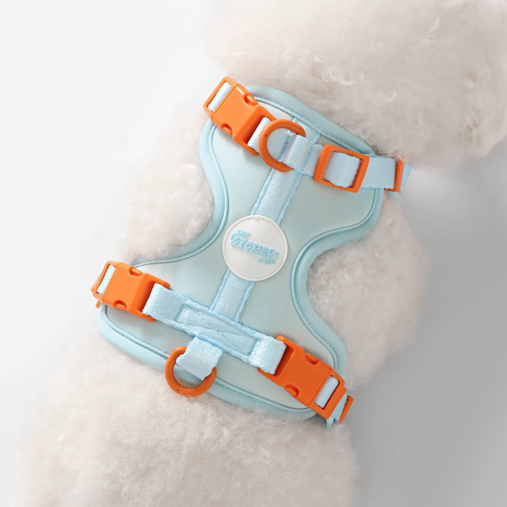 Arlo Adjustable Soft Padded No Pull Pet Harness with 3 Buckles and 3 Leash Clips