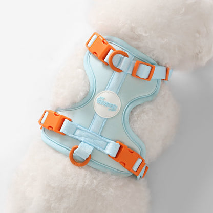 Arlo Adjustable Soft Padded No Pull Pet Harness with 3 Buckles and 3 Leash Clips