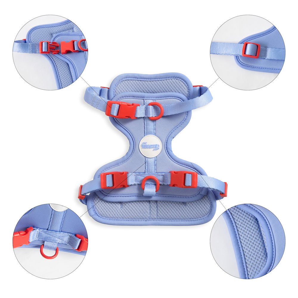 Arlo Adjustable Soft Padded No Pull Pet Harness with 3 Buckles and 3 Leash Clips