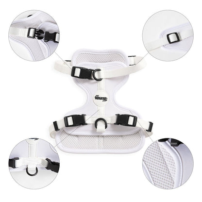 Arlo Adjustable Soft Padded No Pull Pet Harness with 3 Buckles and 3 Leash Clips