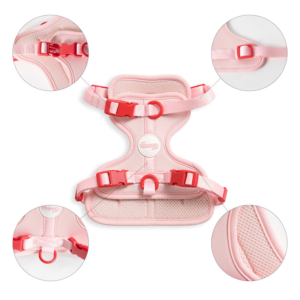 Arlo Adjustable Soft Padded No Pull Pet Harness with 3 Buckles and 3 Leash Clips