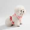 Arlo Adjustable Soft Padded No Pull Pet Harness with 3 Buckles and 3 Leash Clips