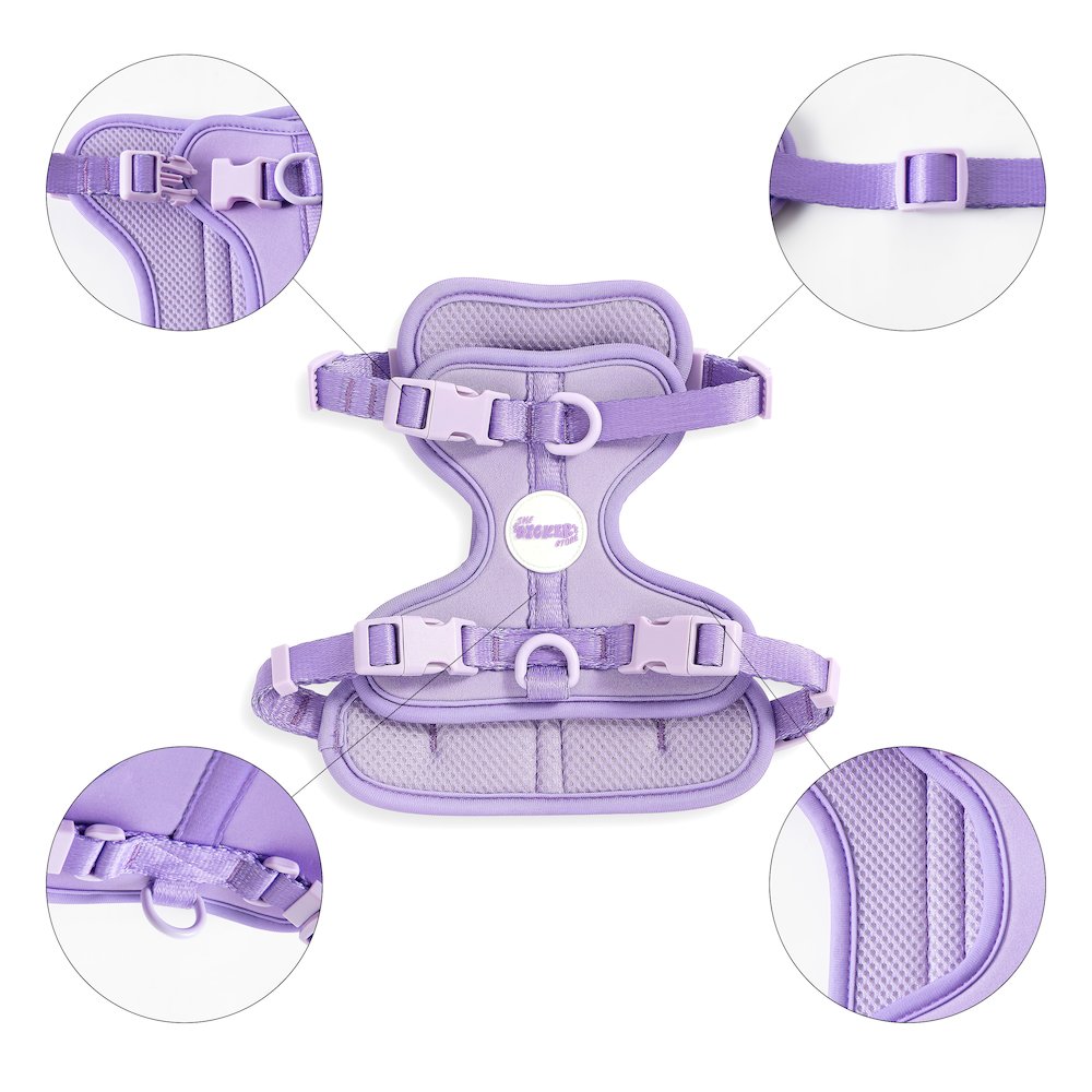 Arlo Adjustable Soft Padded No Pull Pet Harness with 3 Buckles and 3 Leash Clips