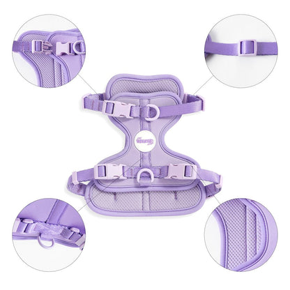 Arlo Adjustable Soft Padded No Pull Pet Harness with 3 Buckles and 3 Leash Clips