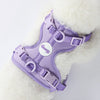 Arlo Adjustable Soft Padded No Pull Pet Harness with 3 Buckles and 3 Leash Clips