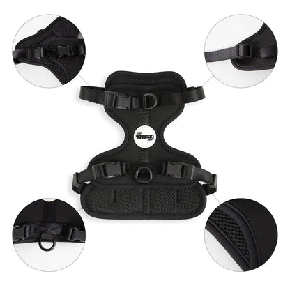 Arlo Adjustable Soft Padded No Pull Pet Harness with 3 Buckles and 3 Leash Clips