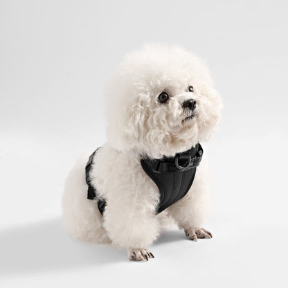 Arlo Adjustable Soft Padded No Pull Pet Harness with 3 Buckles and 3 Leash Clips