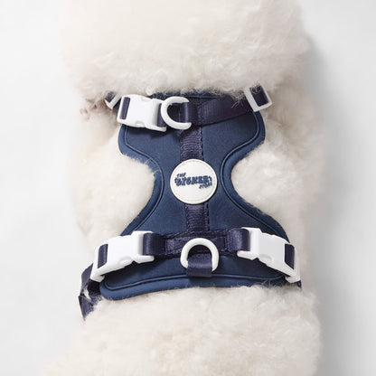Arlo Adjustable Soft Padded No Pull Pet Harness with 3 Buckles and 3 Leash Clips