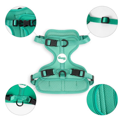 Arlo Adjustable Soft Padded No Pull Pet Harness with 3 Buckles and 3 Leash Clips