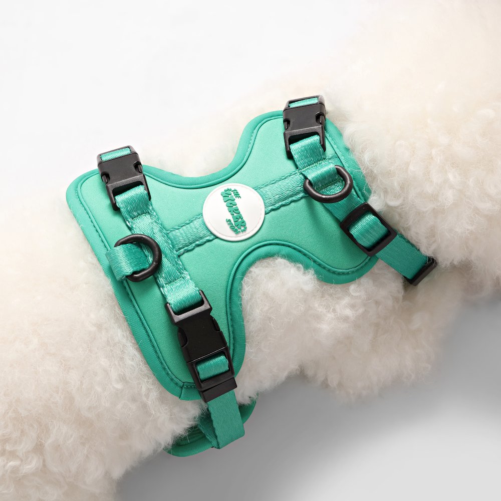 Arlo Adjustable Soft Padded No Pull Pet Harness with 3 Buckles and 3 Leash Clips