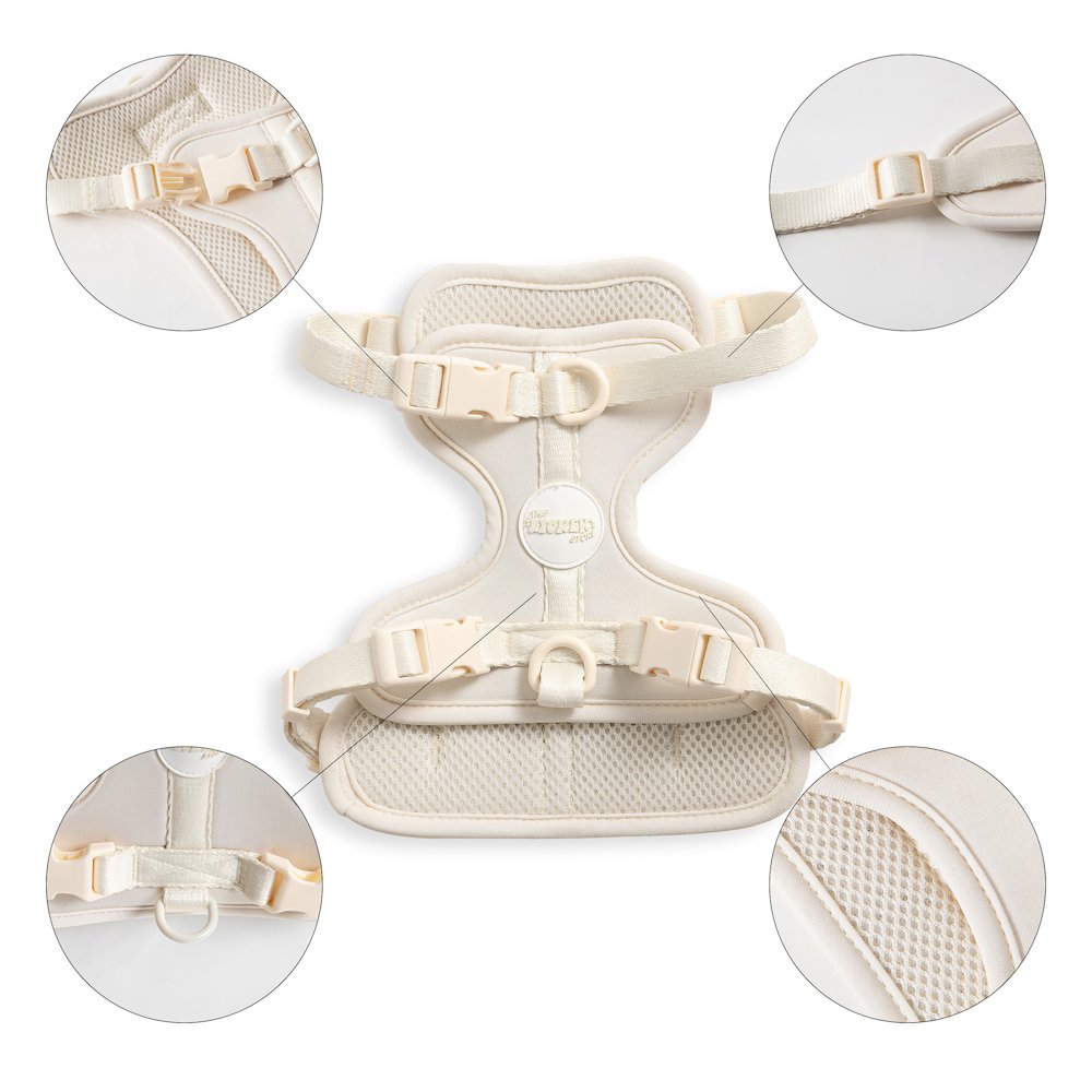 Arlo Adjustable Soft Padded No Pull Pet Harness with 3 Buckles and 3 Leash Clips