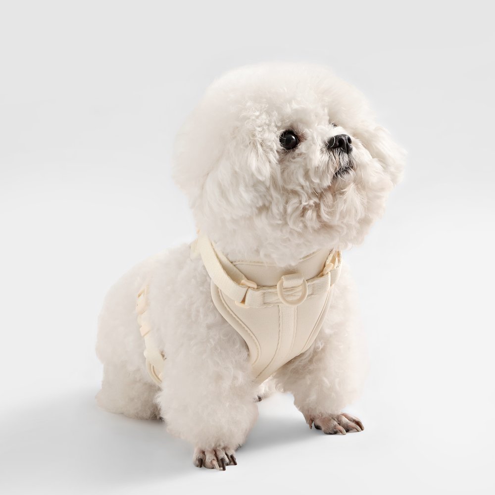 Arlo Adjustable Soft Padded No Pull Pet Harness with 3 Buckles and 3 Leash Clips