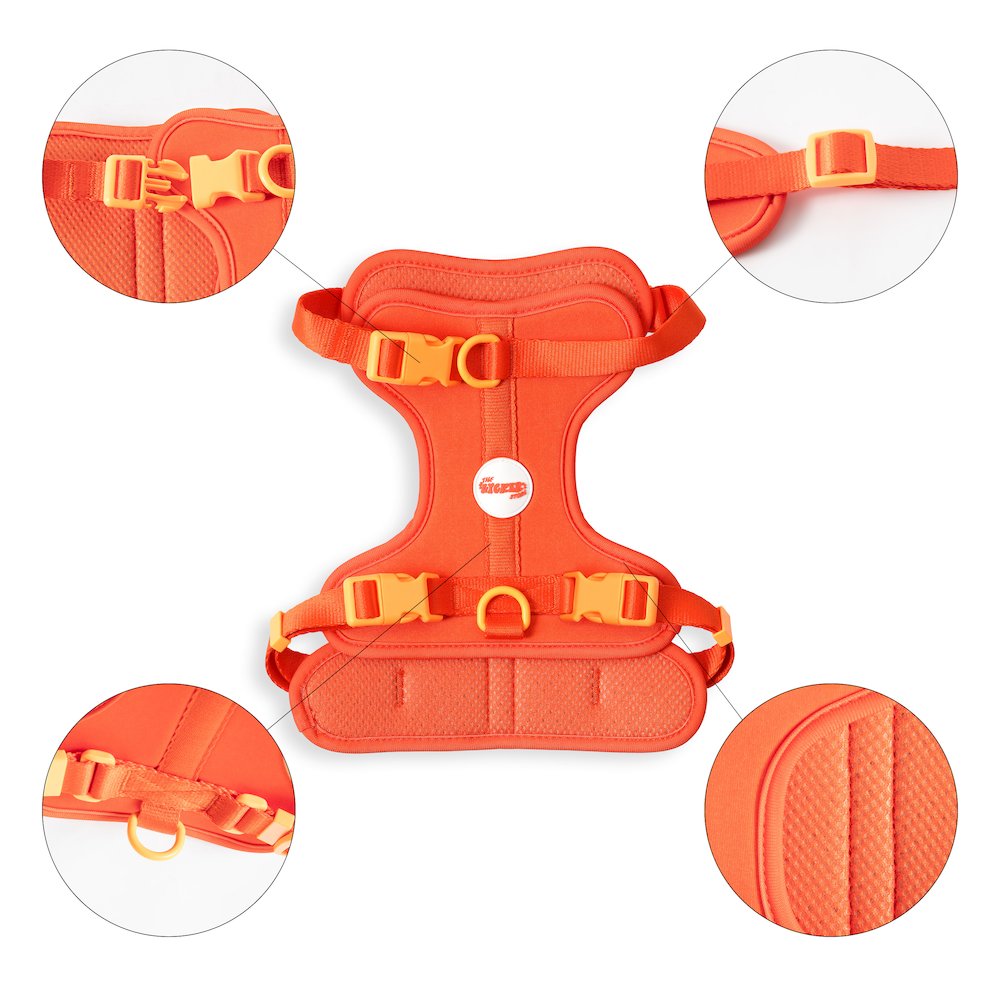 Arlo Adjustable Soft Padded No Pull Pet Harness with 3 Buckles and 3 Leash Clips