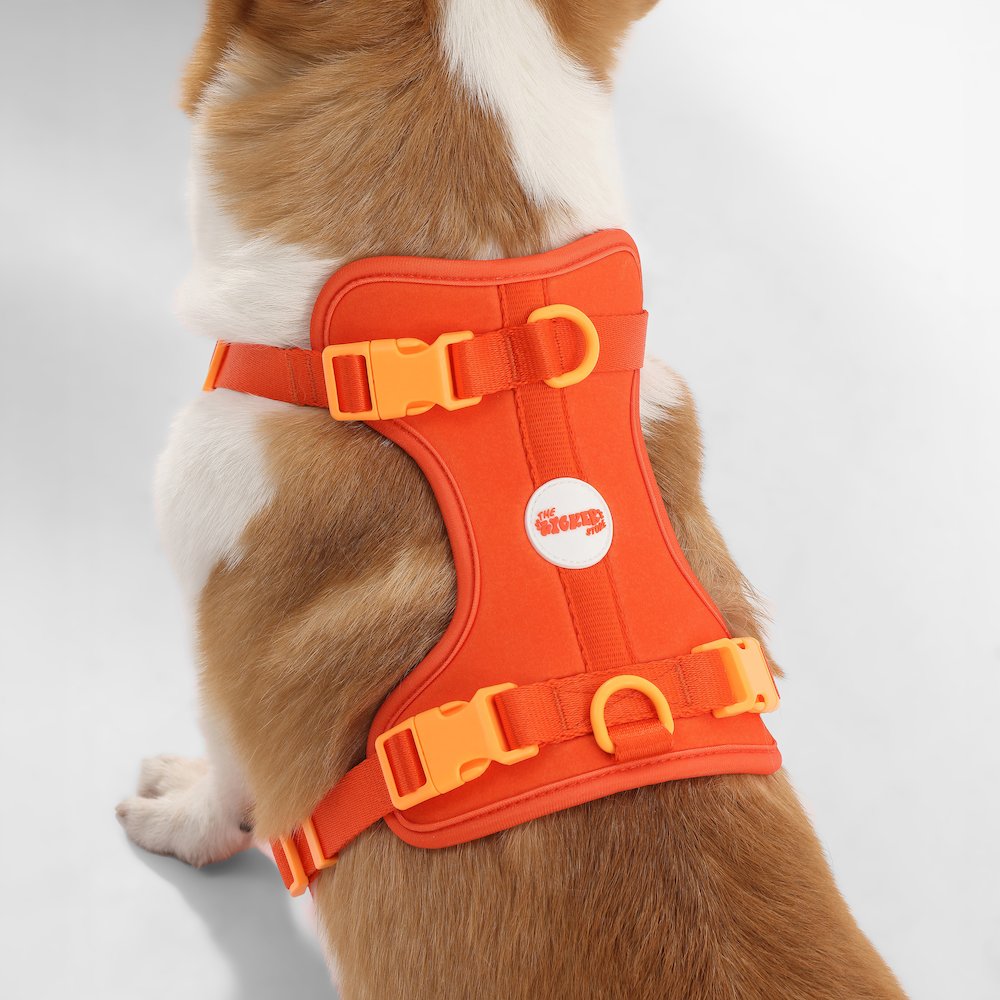 Arlo Adjustable Soft Padded No Pull Pet Harness with 3 Buckles and 3 Leash Clips