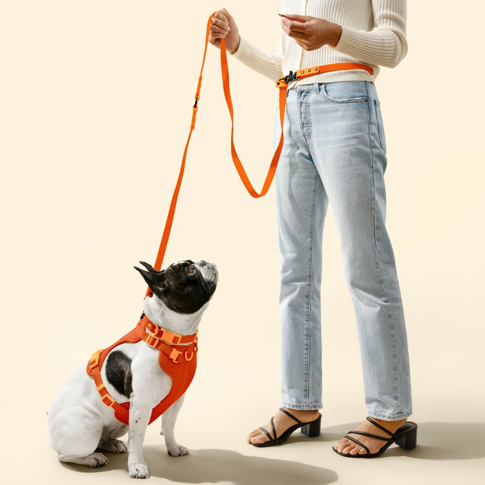 Arlo Adjustable Soft Padded No Pull Pet Harness with 3 Buckles and 3 Leash Clips