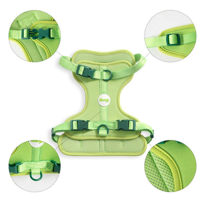 Arlo Adjustable Soft Padded No Pull Pet Harness with 3 Buckles and 3 Leash Clips