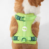 Arlo Adjustable Soft Padded No Pull Pet Harness with 3 Buckles and 3 Leash Clips
