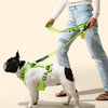 Arlo Adjustable Soft Padded No Pull Pet Harness with 3 Buckles and 3 Leash Clips