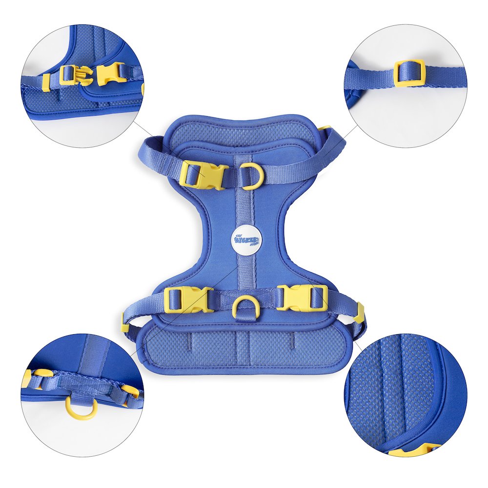 Arlo Adjustable Soft Padded No Pull Pet Harness with 3 Buckles and 3 Leash Clips