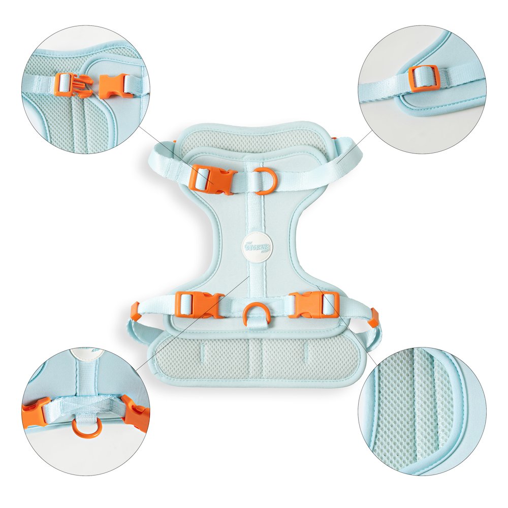 Arlo Adjustable Soft Padded No Pull Pet Harness with 3 Buckles and 3 Leash Clips