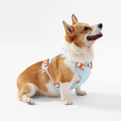Arlo Adjustable Soft Padded No Pull Pet Harness with 3 Buckles and 3 Leash Clips