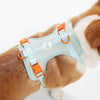 Arlo Adjustable Soft Padded No Pull Pet Harness with 3 Buckles and 3 Leash Clips
