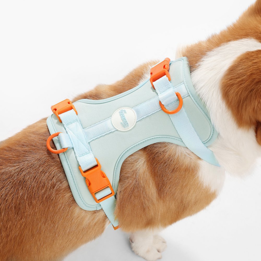 Arlo Adjustable Soft Padded No Pull Pet Harness with 3 Buckles and 3 Leash Clips
