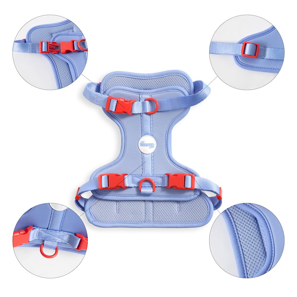 Arlo Adjustable Soft Padded No Pull Pet Harness with 3 Buckles and 3 Leash Clips