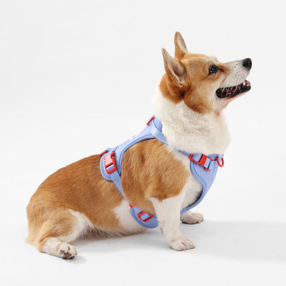 Arlo Adjustable Soft Padded No Pull Pet Harness with 3 Buckles and 3 Leash Clips