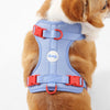 Arlo Adjustable Soft Padded No Pull Pet Harness with 3 Buckles and 3 Leash Clips