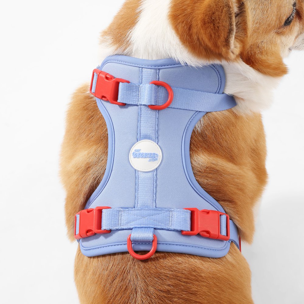 Arlo Adjustable Soft Padded No Pull Pet Harness with 3 Buckles and 3 Leash Clips