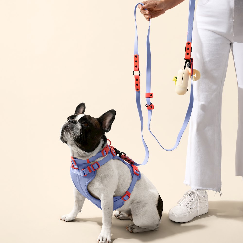 Arlo Adjustable Soft Padded No Pull Pet Harness with 3 Buckles and 3 Leash Clips