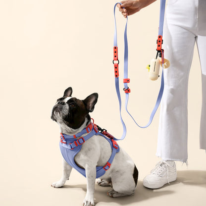 Arlo Adjustable Soft Padded No Pull Pet Harness with 3 Buckles and 3 Leash Clips