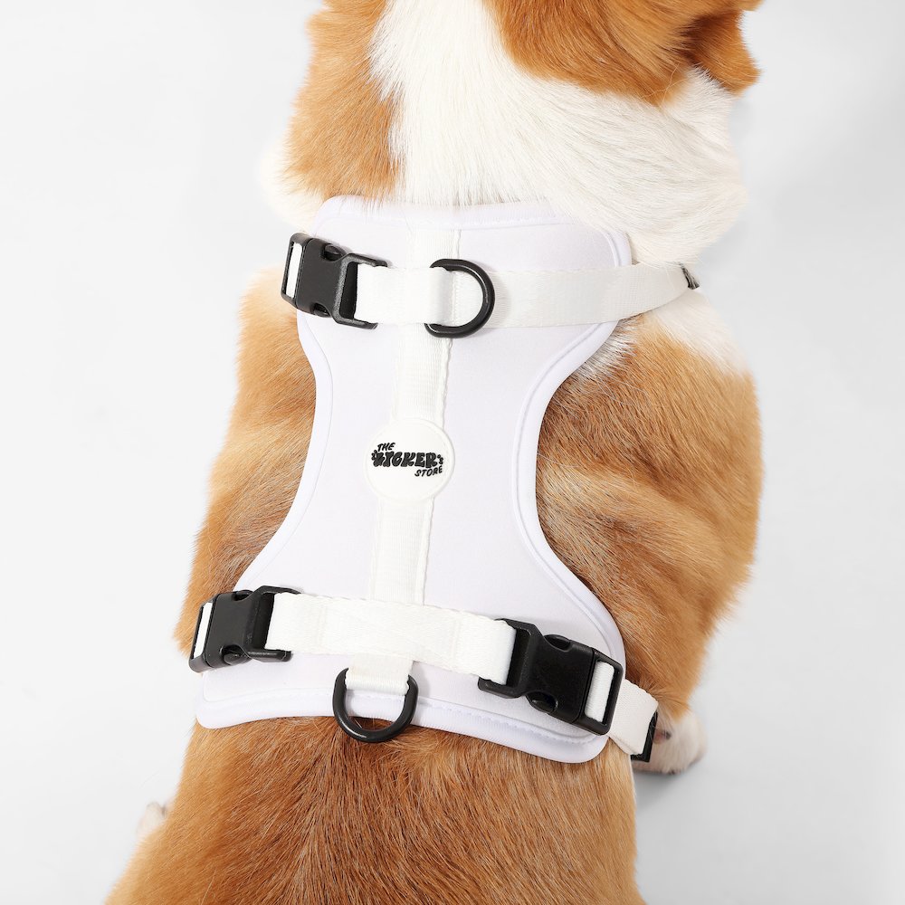 Arlo Adjustable Soft Padded No Pull Pet Harness with 3 Buckles and 3 Leash Clips