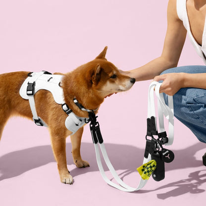 Arlo Adjustable Soft Padded No Pull Pet Harness with 3 Buckles and 3 Leash Clips