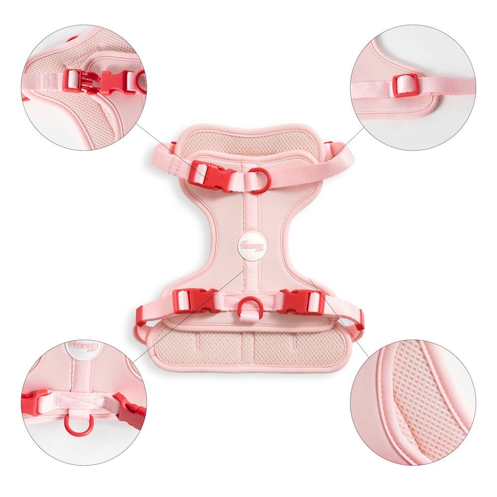 Arlo Adjustable Soft Padded No Pull Pet Harness with 3 Buckles and 3 Leash Clips