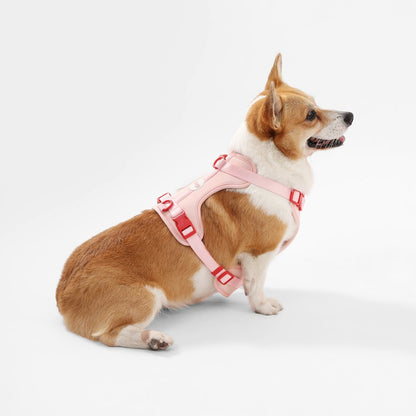 Arlo Adjustable Soft Padded No Pull Pet Harness with 3 Buckles and 3 Leash Clips