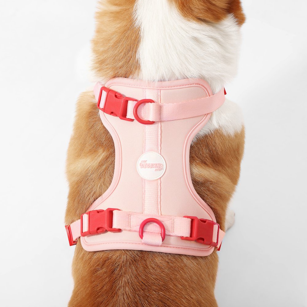 Arlo Adjustable Soft Padded No Pull Pet Harness with 3 Buckles and 3 Leash Clips