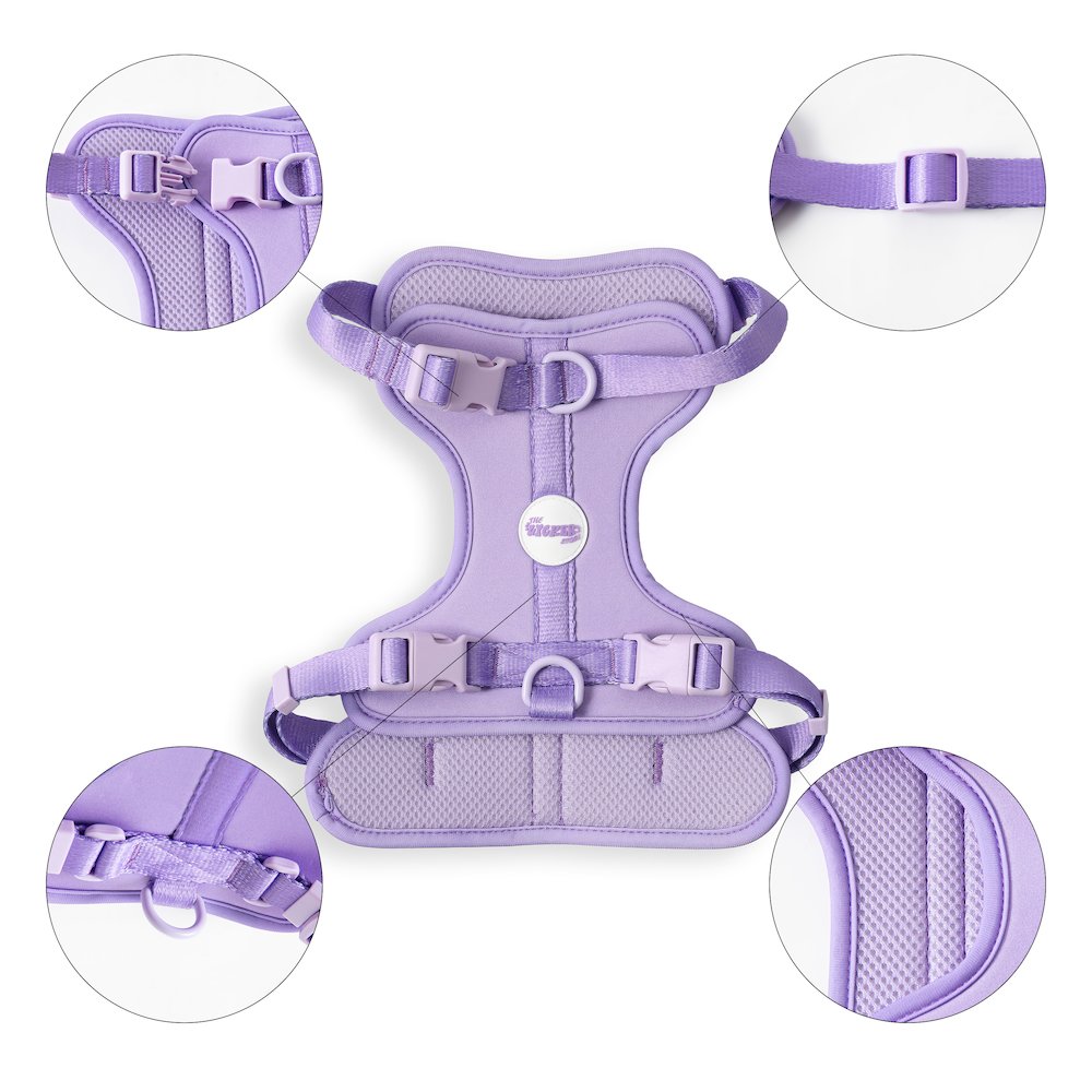 Arlo Adjustable Soft Padded No Pull Pet Harness with 3 Buckles and 3 Leash Clips