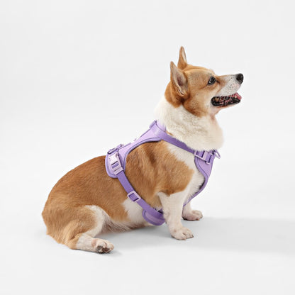 Arlo Adjustable Soft Padded No Pull Pet Harness with 3 Buckles and 3 Leash Clips
