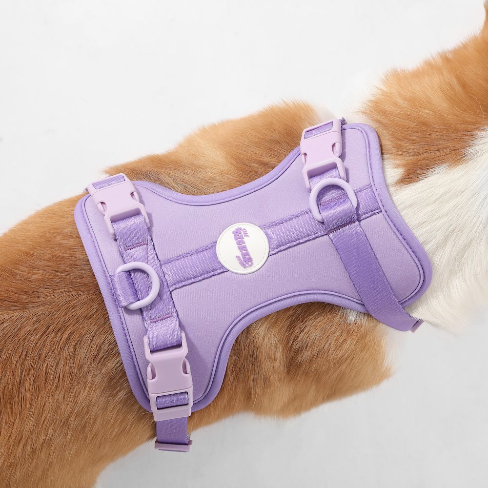 Arlo Adjustable Soft Padded No Pull Pet Harness with 3 Buckles and 3 Leash Clips
